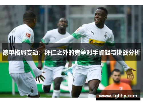 德甲格局变动：拜仁之外的竞争对手崛起与挑战分析