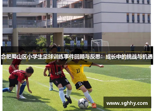 合肥蜀山区小学生足球训练事件回顾与反思：成长中的挑战与机遇