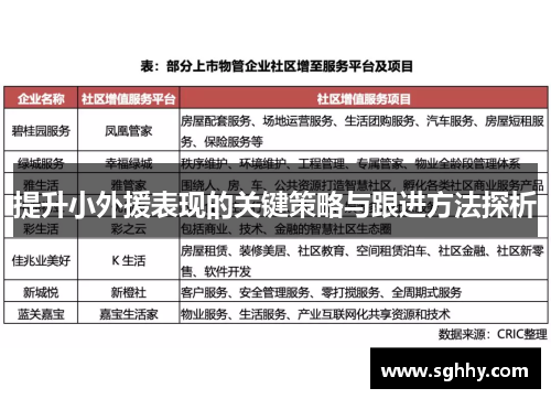 提升小外援表现的关键策略与跟进方法探析