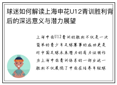 球迷如何解读上海申花U12青训胜利背后的深远意义与潜力展望