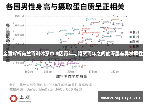 全面解析荷兰青训体系中埃因青年与阿贾青年之间的深层差异发展性